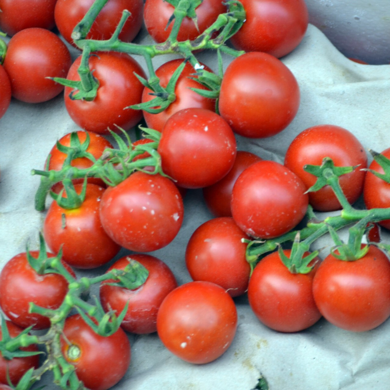 cherry-tomatoes-1372245615Yku-resized.jpg