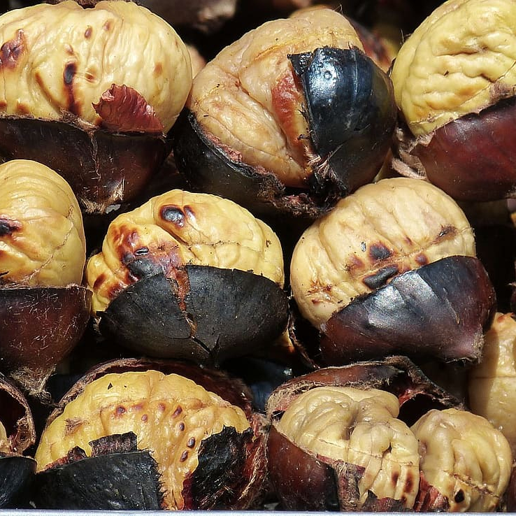 chestnuts-chestnut-fruit-nut-resized.jpg
