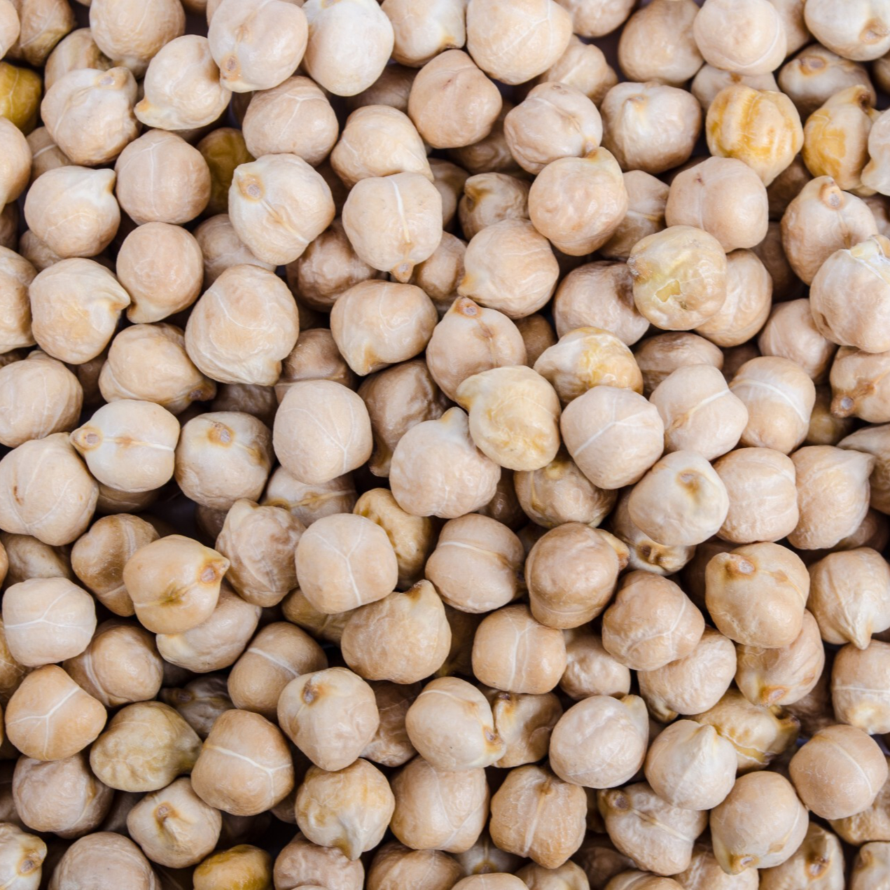 chickpeas-in-a-pile-1391269872Roz-resized.jpg