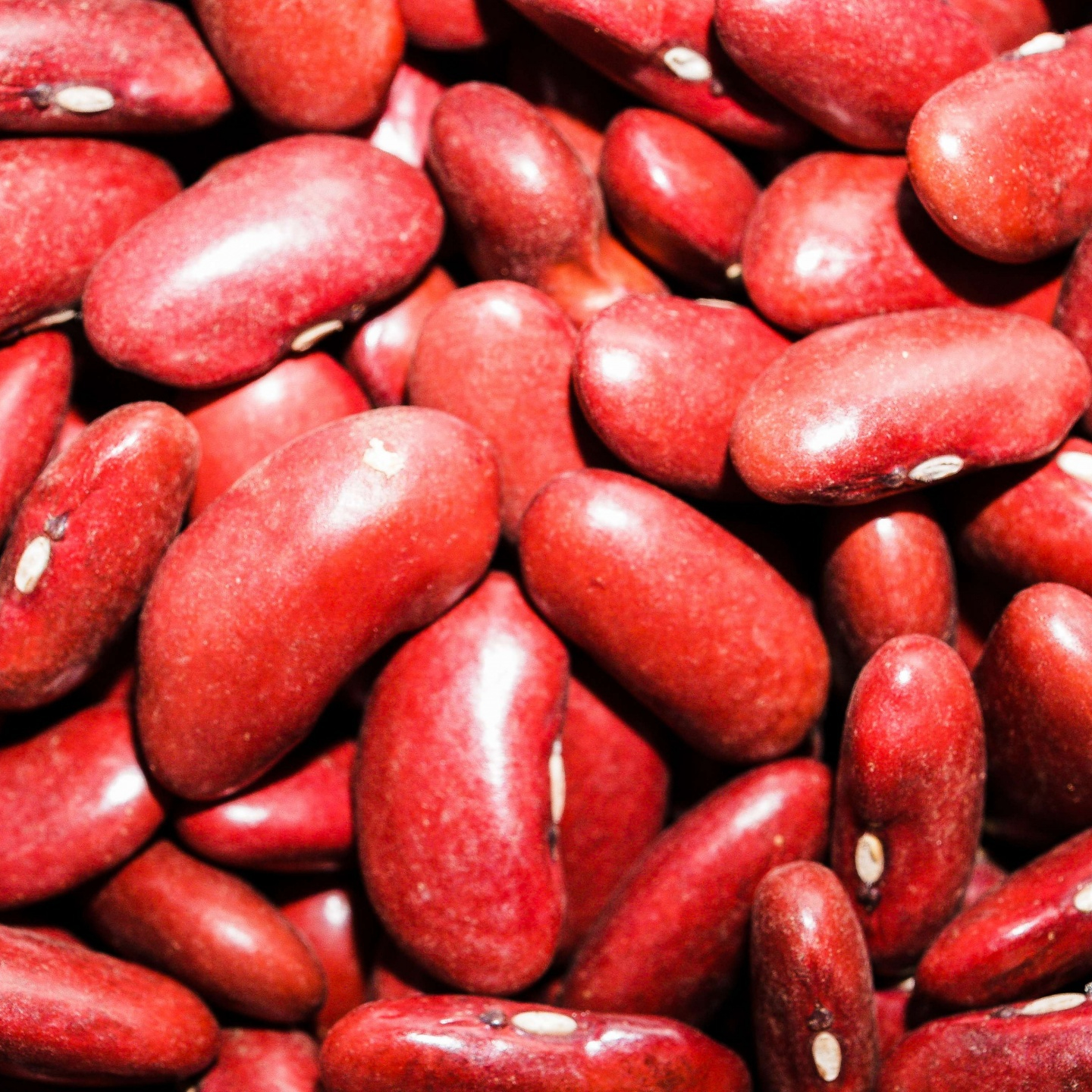 close-up-red-beans-background-15940476552GY-resized.jpg
