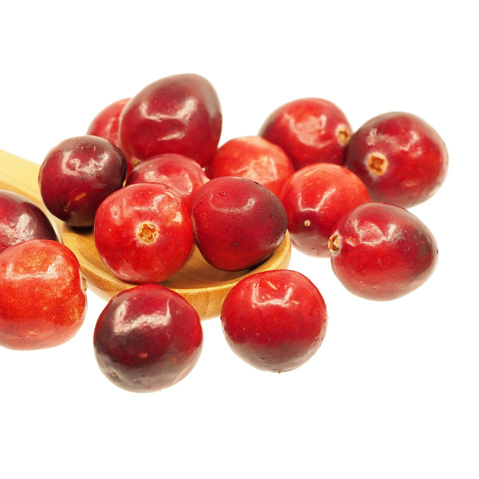 cranberry-1767425_1280-resized.jpg