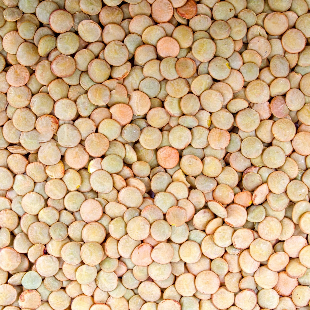 dry-lentils-background-resized.jpg