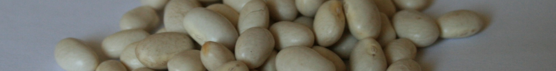 dry-white-beans-resized.jpg