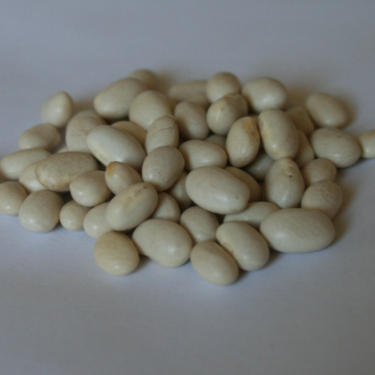 dry-white-beans-resized.jpg