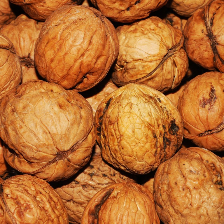 food-produce-brown-nut-walnut-nuts-1154233-pxhere.com-resized.jpg