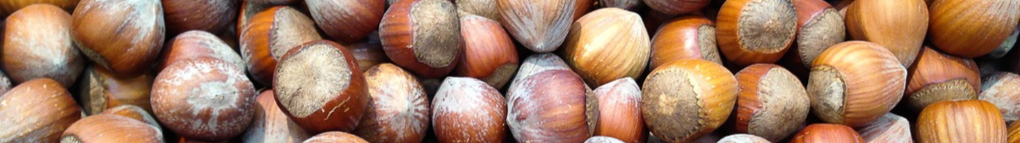 food-produce-vegetable-crop-nut-hazelnut-1058092-pxhere.com-resized.jpg