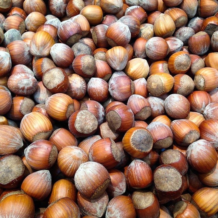 food-produce-vegetable-crop-nut-hazelnut-1058092-pxhere.com-resized.jpg