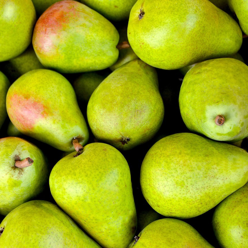 fruits-1534494_1280-resized.jpg