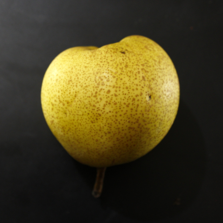 fruits-yellow-fruit-produce-still-life-photography-food-1446589-pxhere.com-resized.jpg