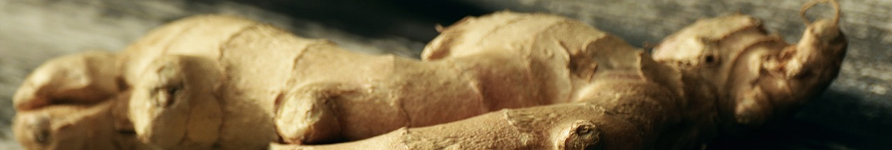 ginger-1714196_1280-resized.jpg