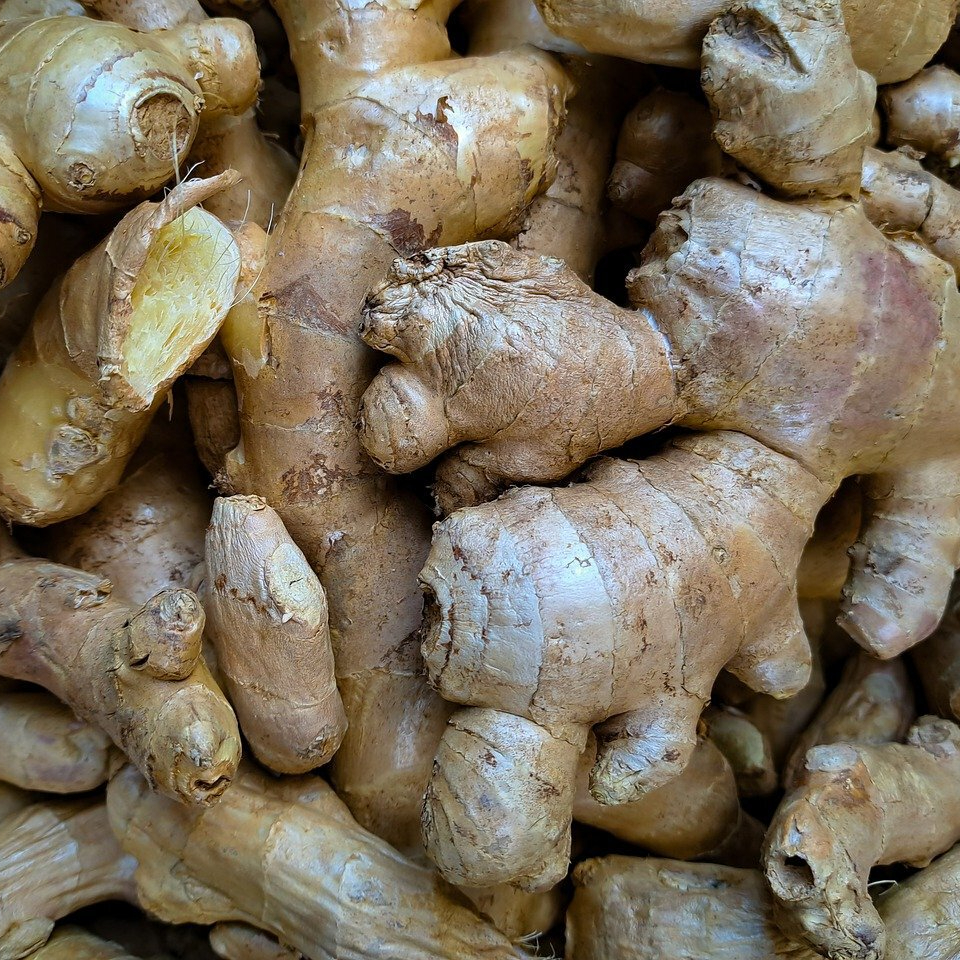 ginger-7888804_1280-resized.jpg