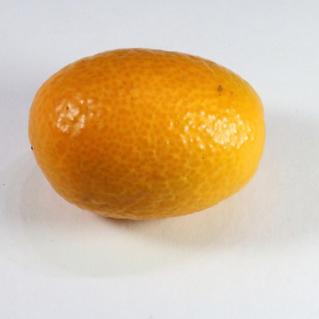 imagy-image.jpg