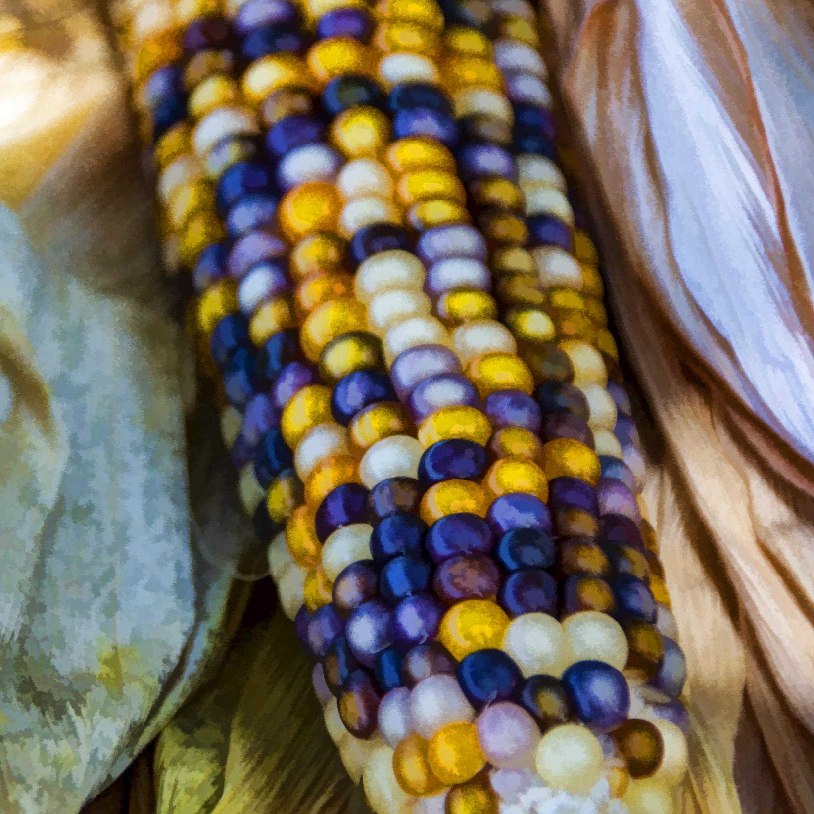 indian-corn-1602219667z4U-resized.jpg