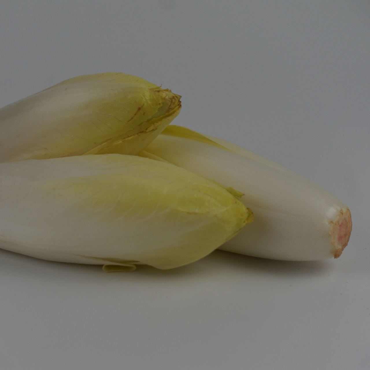 les-endives--resized.jpg