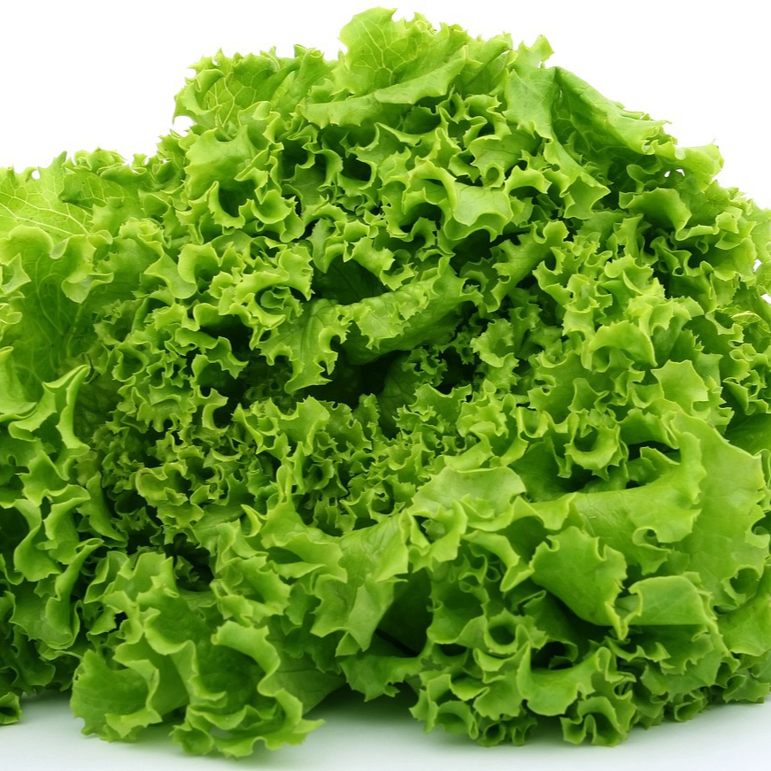 lettuce-1239155_1280-resized.jpg