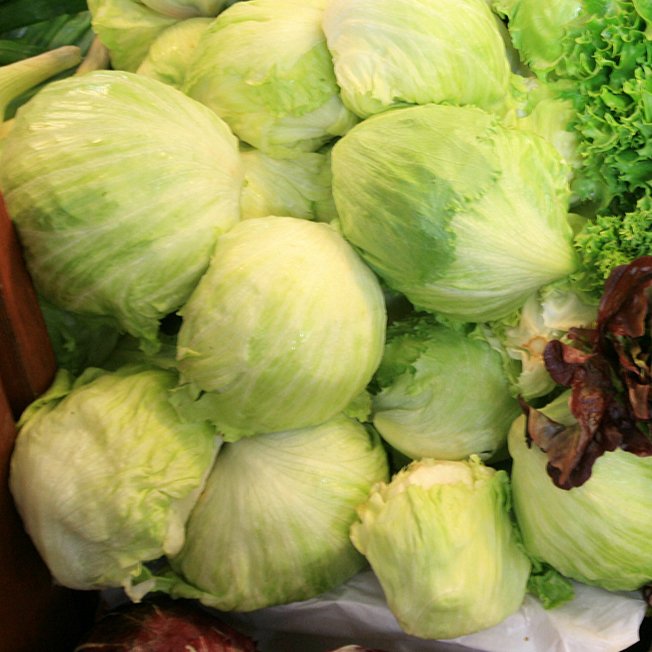 Lettuce_mix-resized.jpg