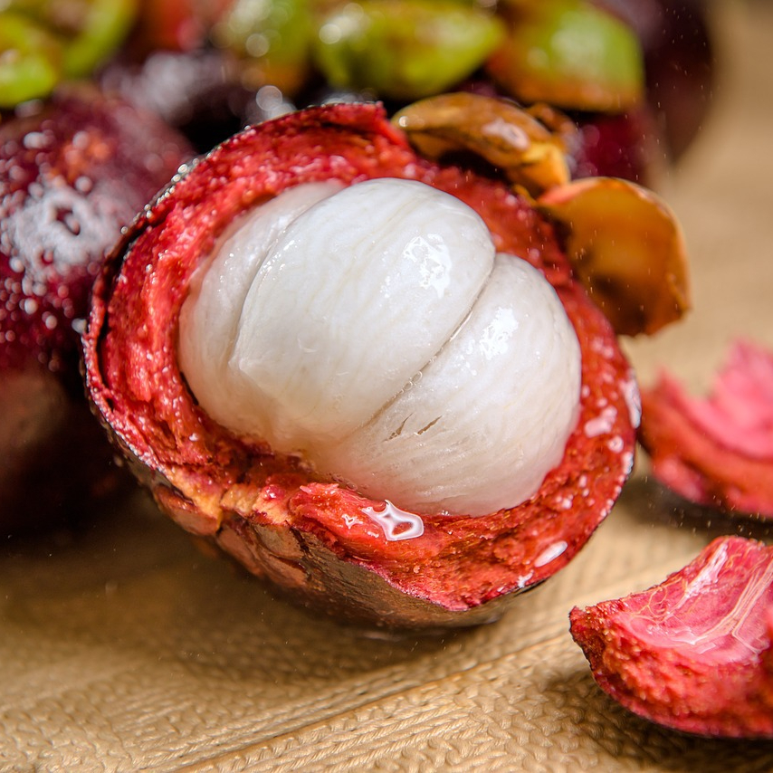 mangosteen-2126750_1280-resized.jpg