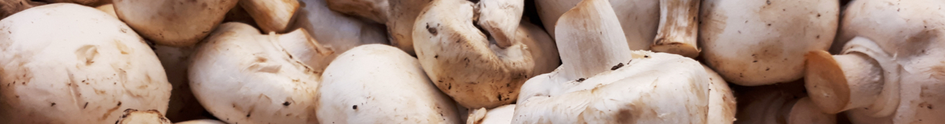 mushrooms-vegetables-fresh-nature-food-champignon-mushroom-1591431-pxhere.com-resized.jpg