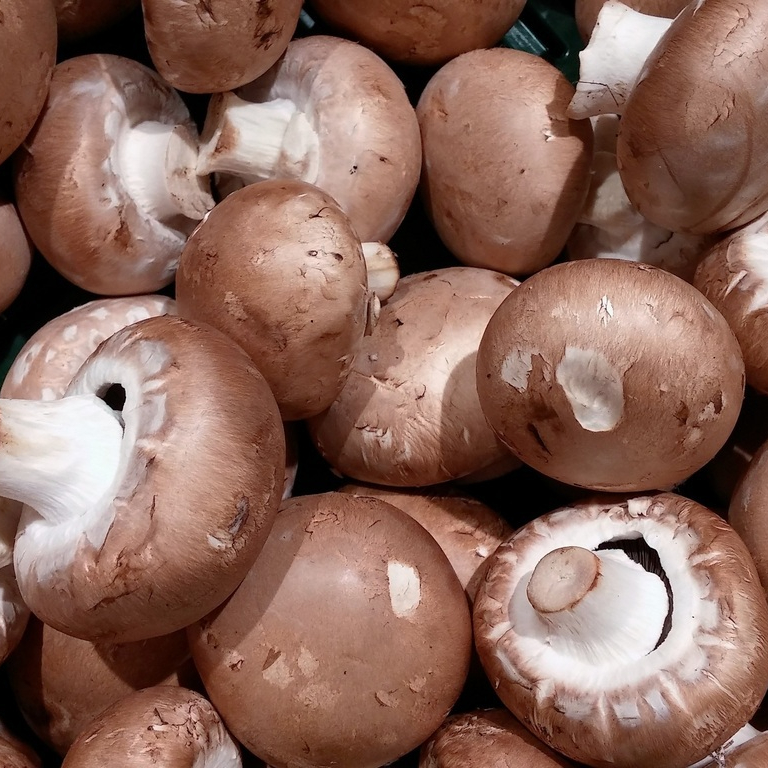 nature-forest-plant-farm-fruit-meal-536397-pxhere.com-resized.jpg
