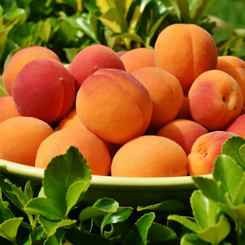 peaches-1522680_1280-resized.jpg