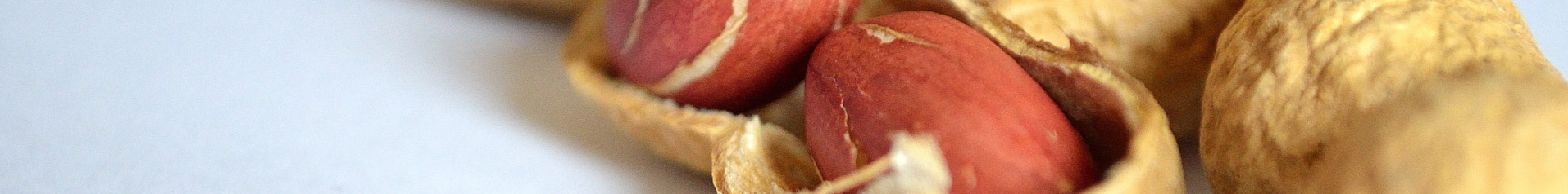 peanut-nuts-1326802625NA9-resized.jpg