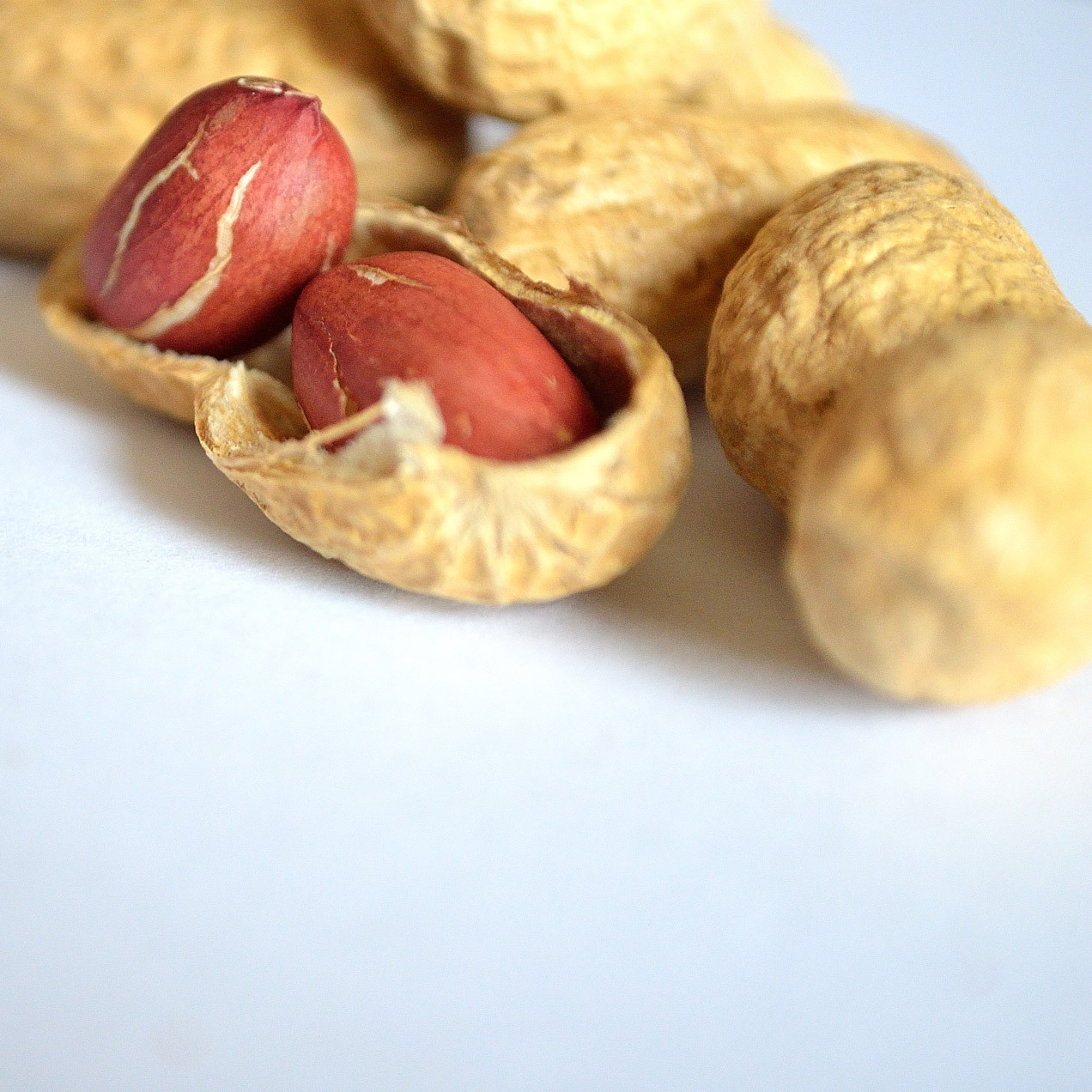 peanut-nuts-1326802625NA9-resized.jpg