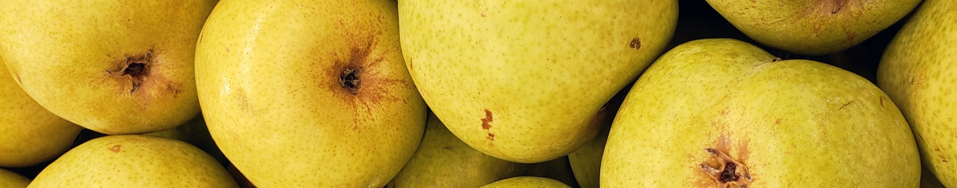 pears-1558662835OAO-resized.jpg
