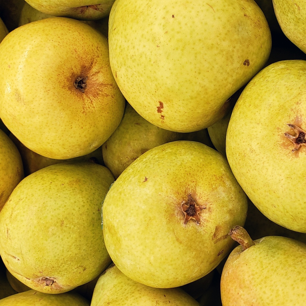 pears-1558662835OAO-resized.jpg
