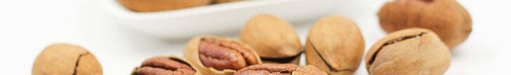 pecans-nut-walnuts-preview-resized.jpg