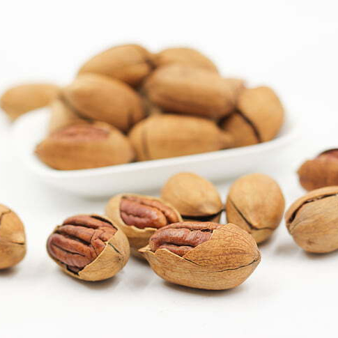 pecans-nut-walnuts-preview-resized.jpg