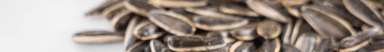 pexels-engin-akyurt-5425020-resized.jpg