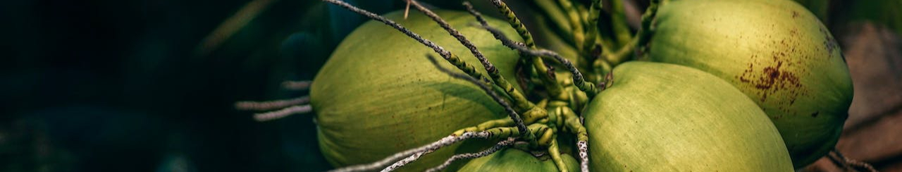 pexels-nipananlifestylecom-1424457-resized.jpg