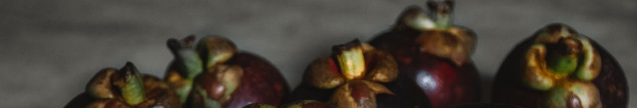 pexels-roman-odintsov-4869145-resized.jpg