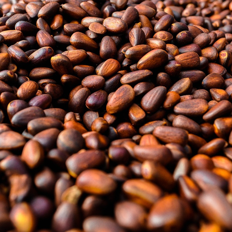 pine-nuts-961606_1280-resized.jpg