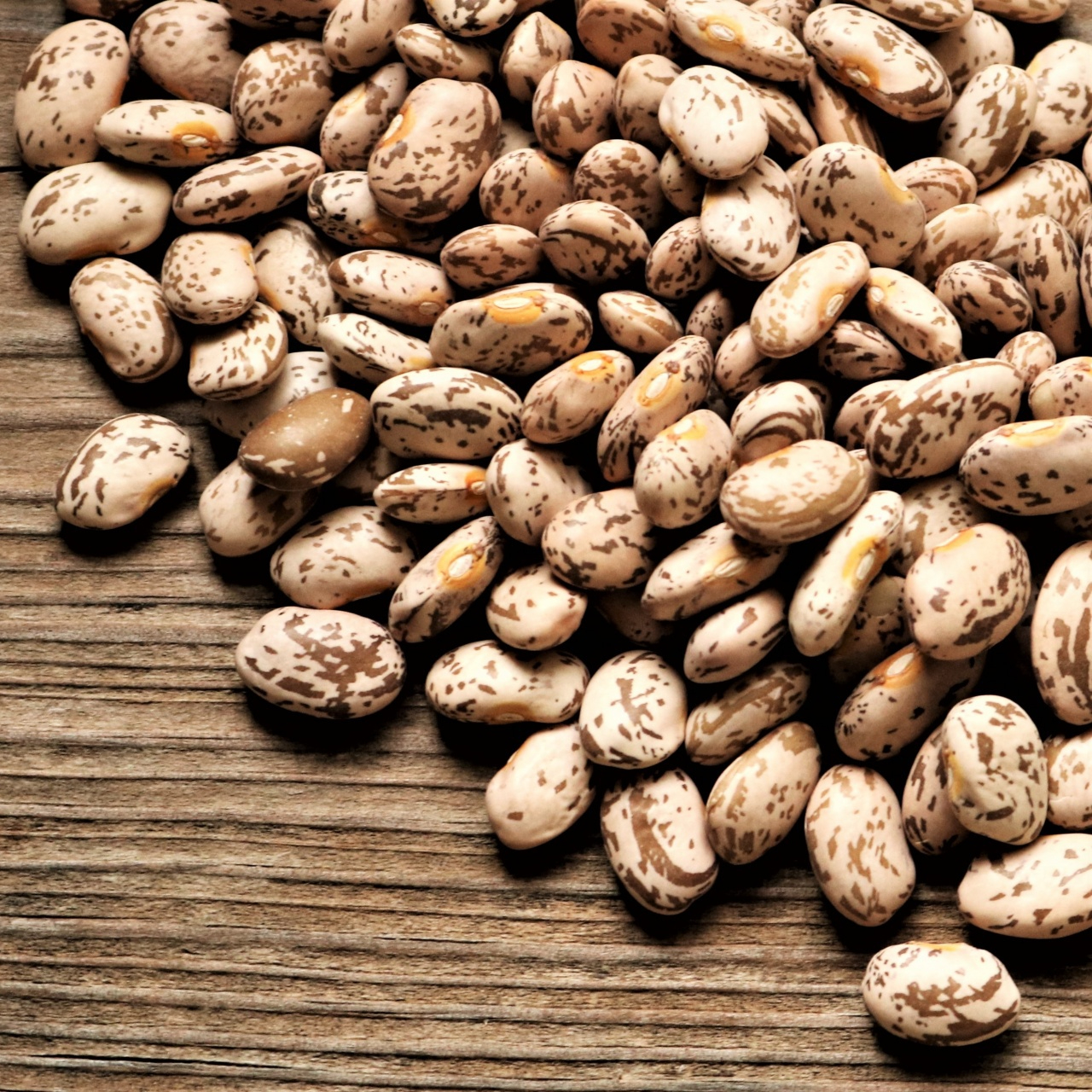 pinto-beans-on-wood-background-resized.jpg