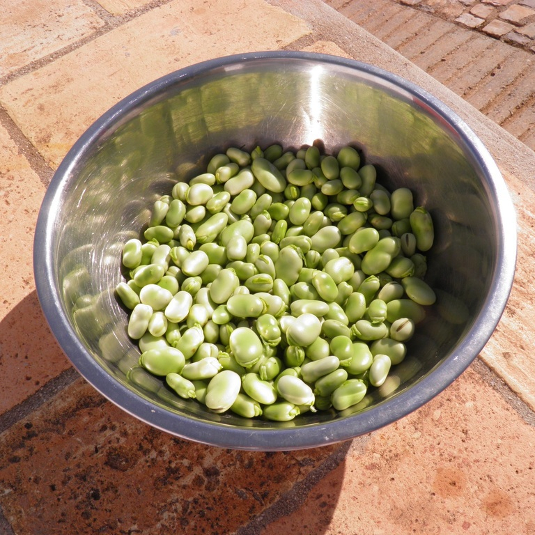 plant-fruit-dish-food-green-produce-847340-pxhere.com-resized.jpg