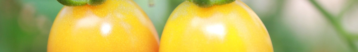 plant-fruit-flower-summer-food-produce-1171477-pxhere.com-resized.jpg