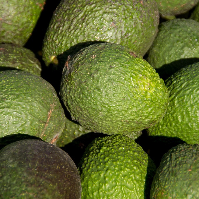 plant-fruit-food-green-farming-harvest-1173316-pxhere.com-resized.jpg