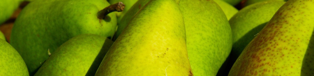 plant-fruit-food-produce-market-garden-686672-pxhere.com-resized.jpg