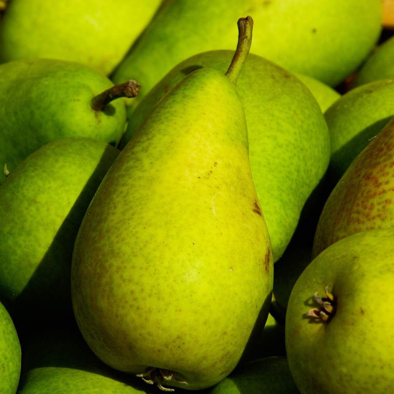 plant-fruit-food-produce-market-garden-686672-pxhere.com-resized.jpg