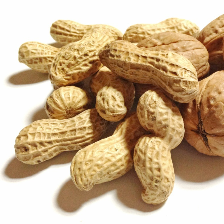 plant-fruit-food-produce-nut-walnut-498267-pxhere.com-resized.jpg
