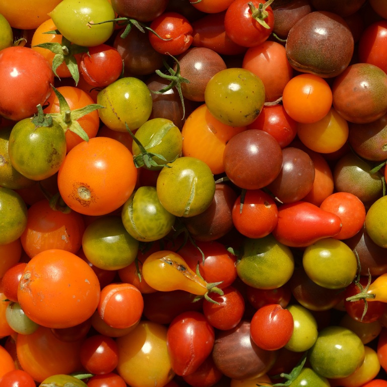 plant-fruit-food-produce-vegetable-tomato-847107-pxhere.com-resized.jpg