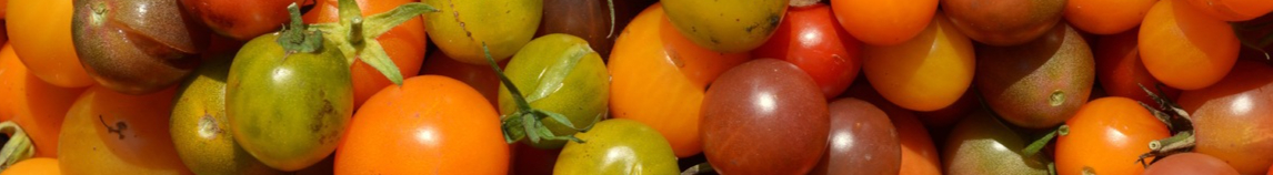 plant-fruit-food-produce-vegetable-tomato-847107-pxhere.com-resized.jpg