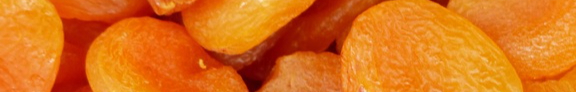 plant-fruit-orange-food-produce-dried-1100450-pxhere.com-resized.jpg