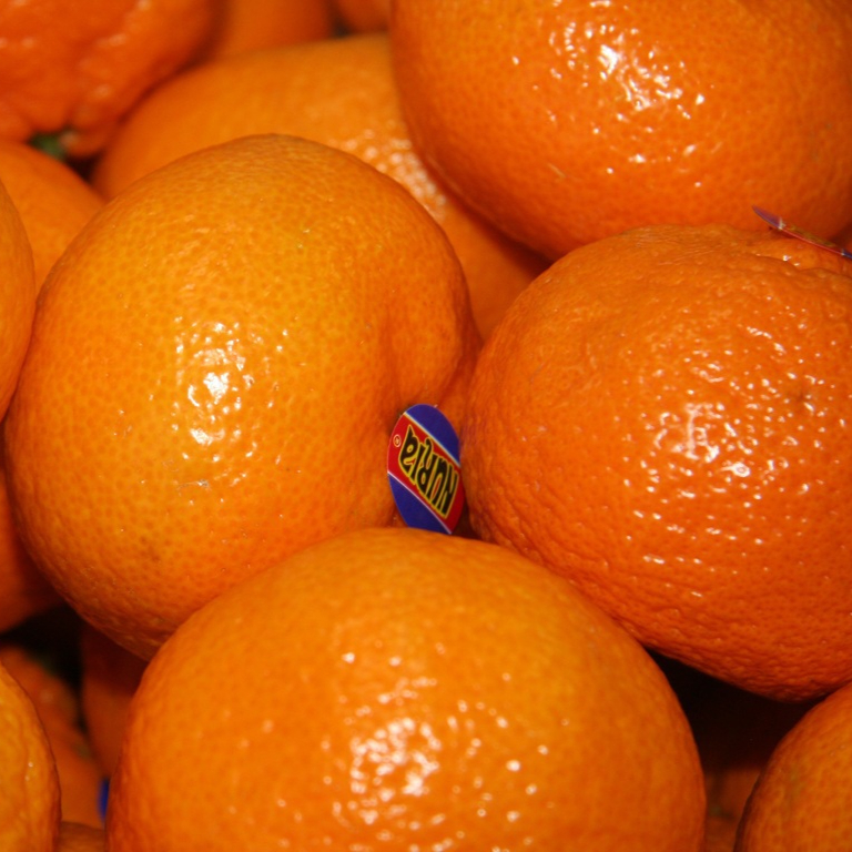 plant-fruit-orange-food-produce-healthy-916359-pxhere.com-resized.jpg