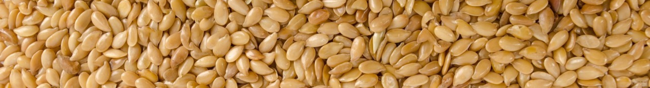 plant-white-barley-wheat-grain-seed-1341092-pxhere.com-resized.jpg