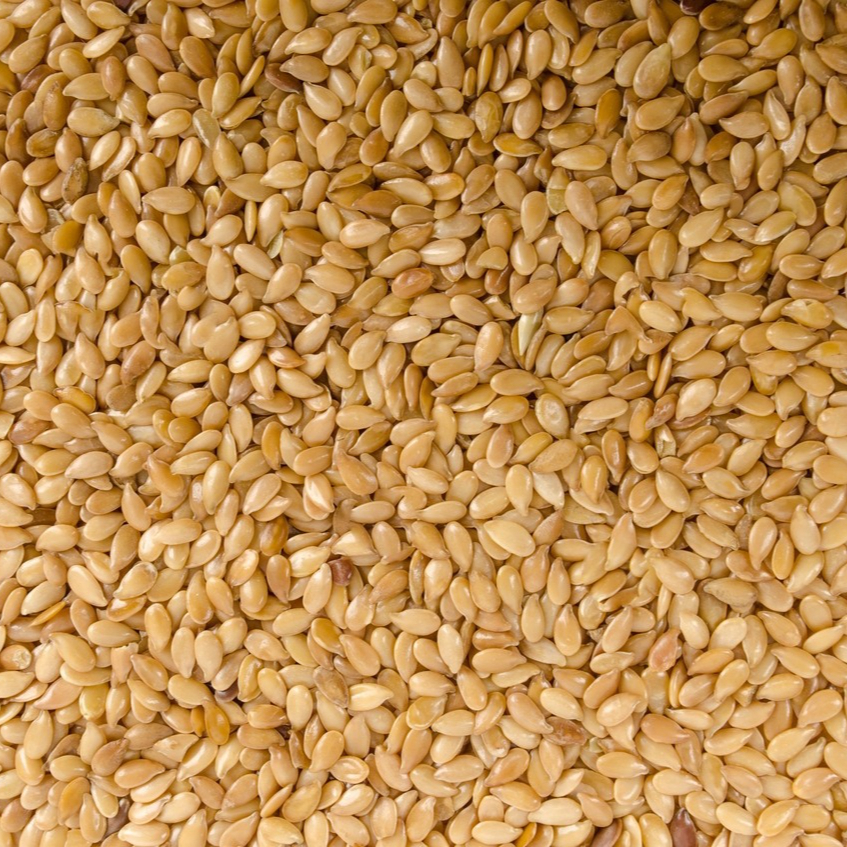plant-white-barley-wheat-grain-seed-1341092-pxhere.com-resized.jpg