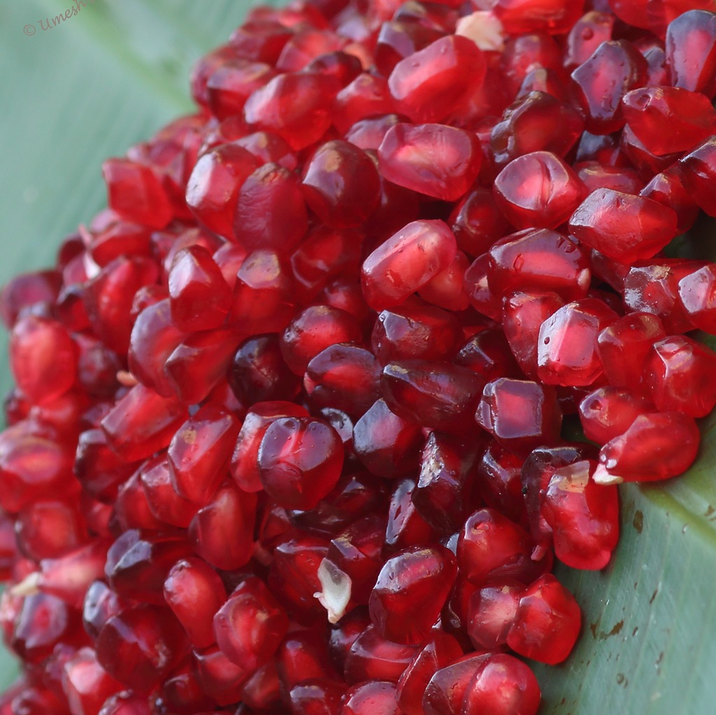 pomegranate-seeds-1283280_1280-resized.jpg