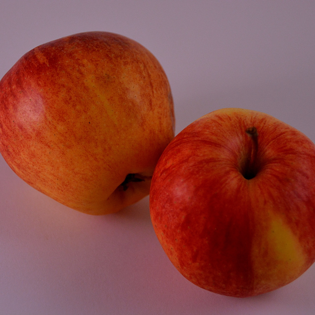 pommes-royal-gala--resized.jpg