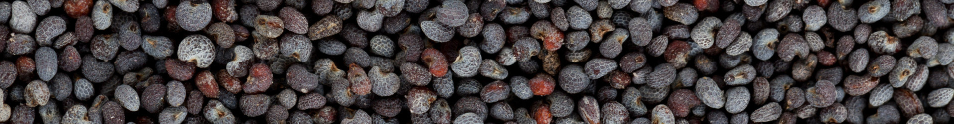 poppy-seeds-texture-resized.jpg